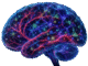 Ai generated illustration of a brain
