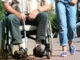 two people from the waste down. one in a wheel chair, one on foot