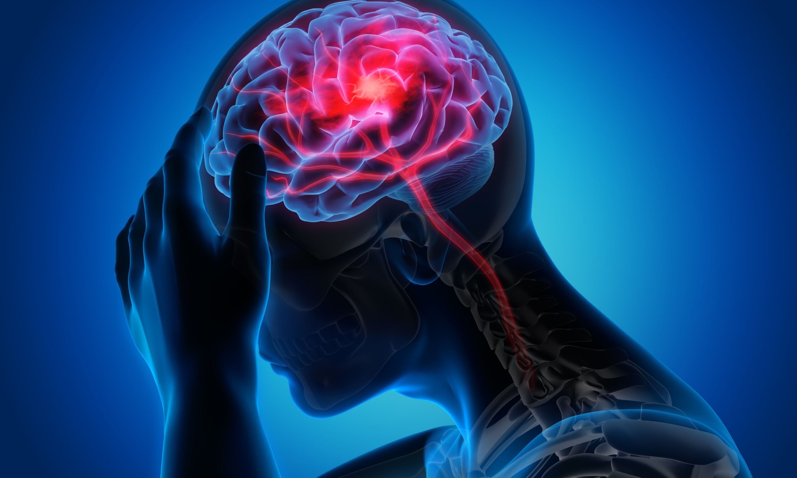 illustration of human head with brain