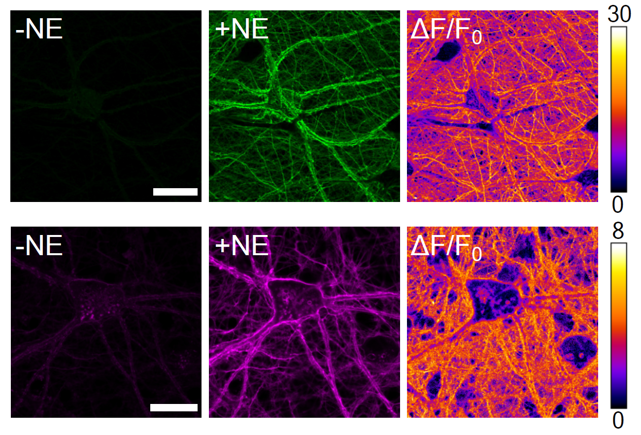 visualisation from the paper