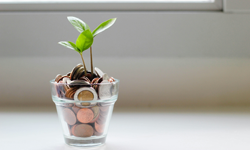 tiny glass filled with coins out of which sprouts a plant