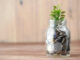 jar filled with coins