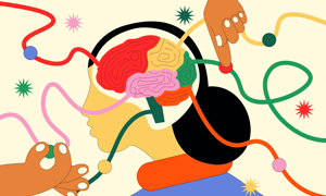 illustration of a brain and its regions are coloured