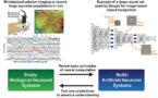 spotlight_research_image